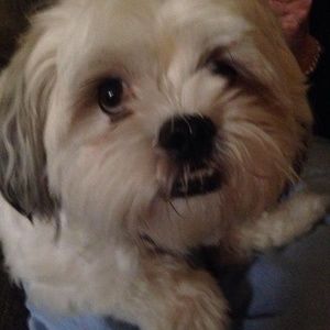 Meet your Posher, Sherry